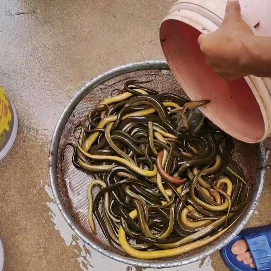 户外弓～长  张