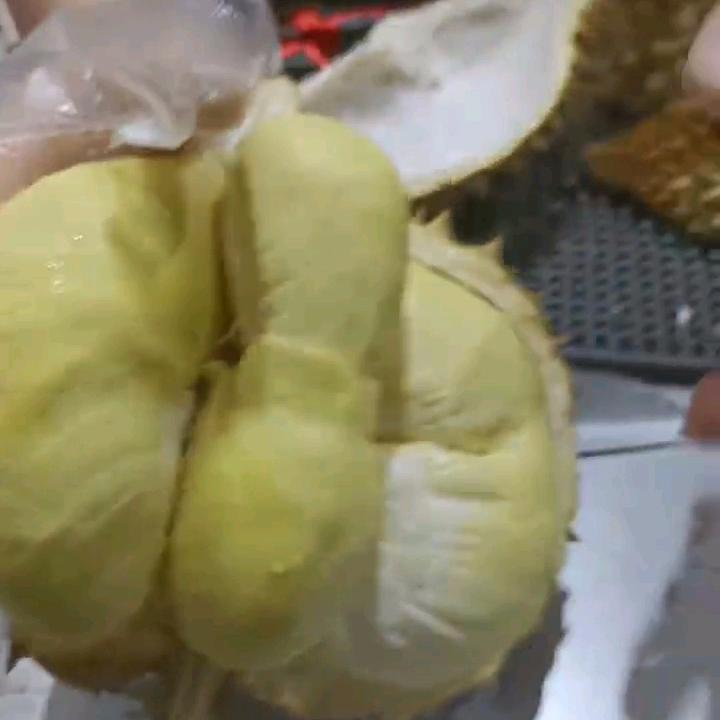 百善为孝
