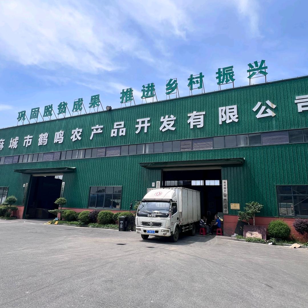 麻城市鹤鸣农产品开发有限公司