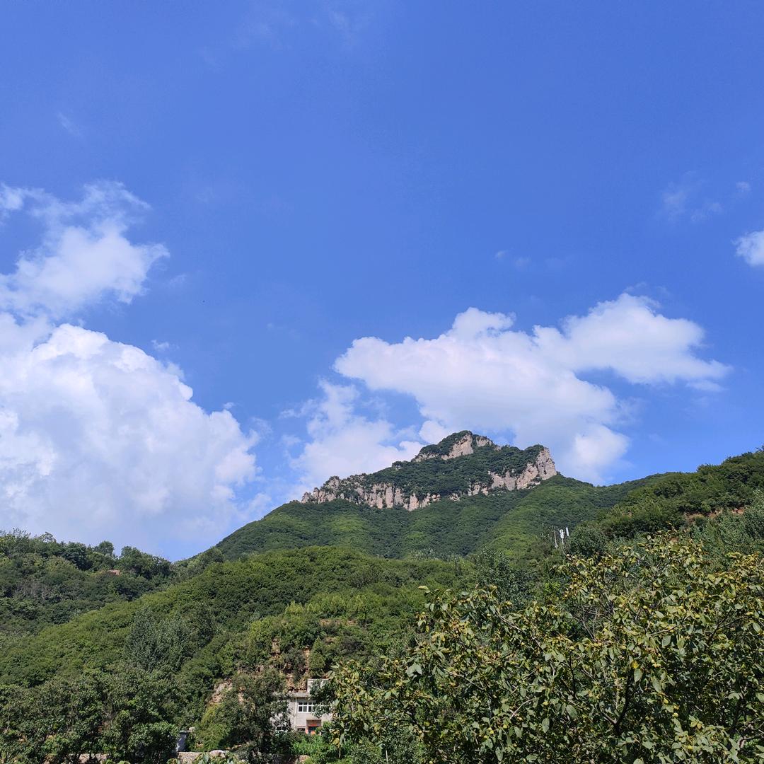 你不是我的蔡