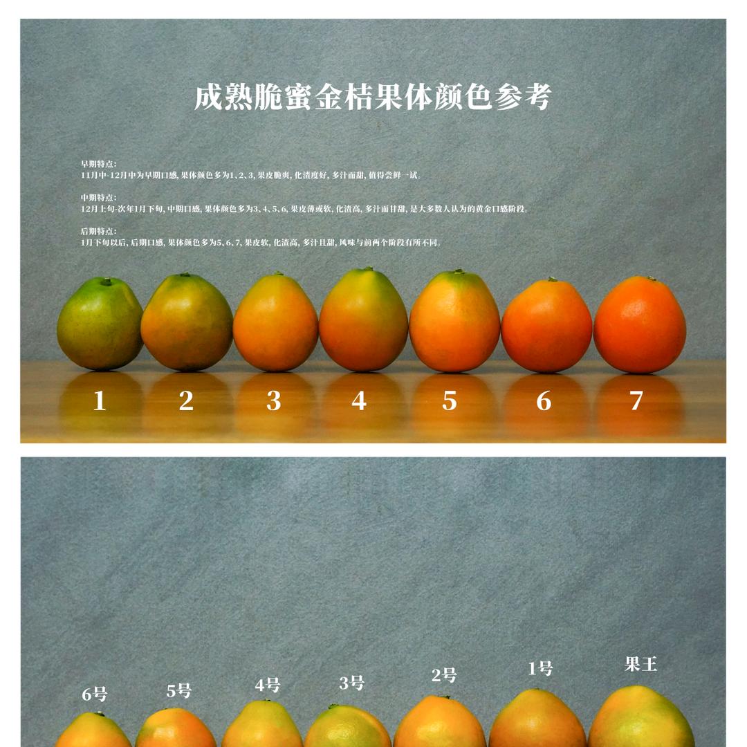 大维哥