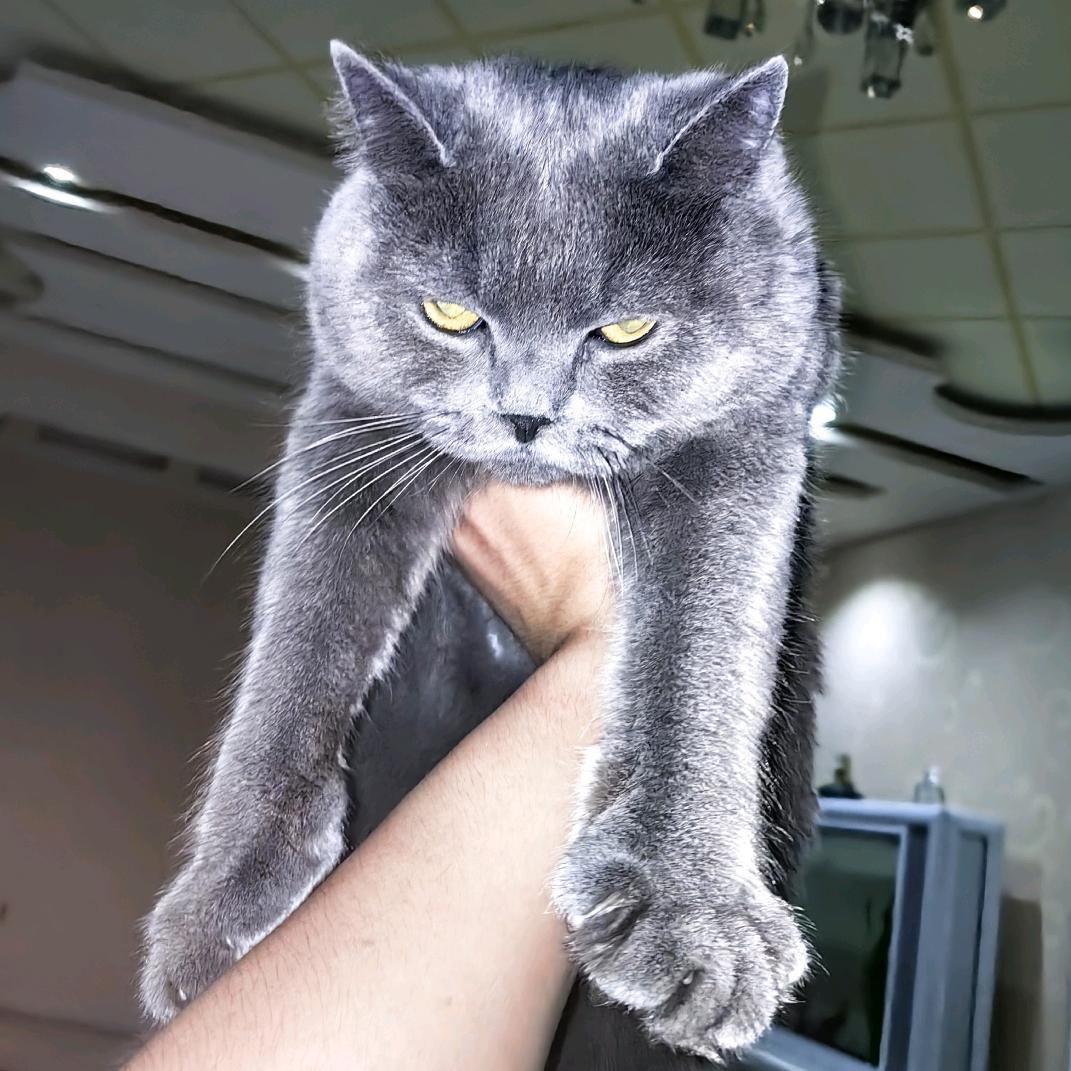 （ ͜•人 ͜•）