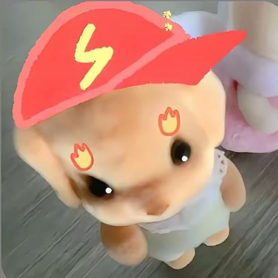 脑袋瓜顶了个帽
