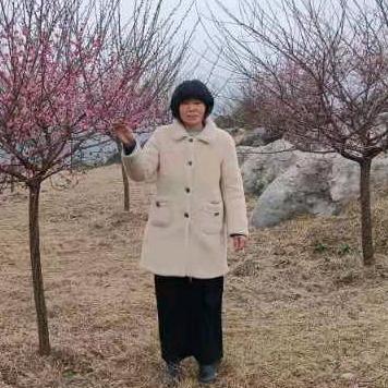 南宫好运来家具