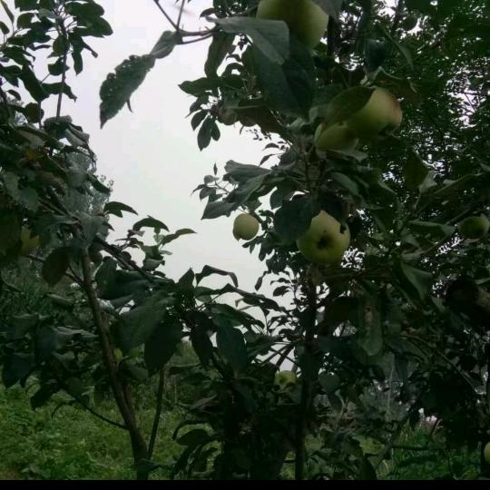 专业外墙真实漆，防水