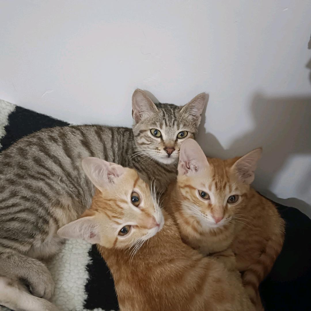 我爱窝滴好大儿们