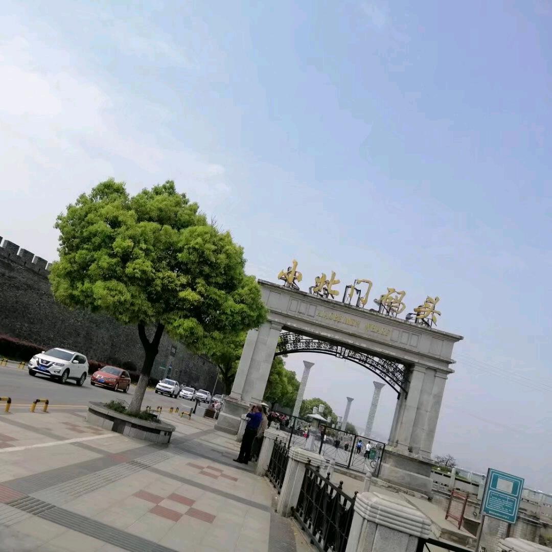 静 歌   🌻