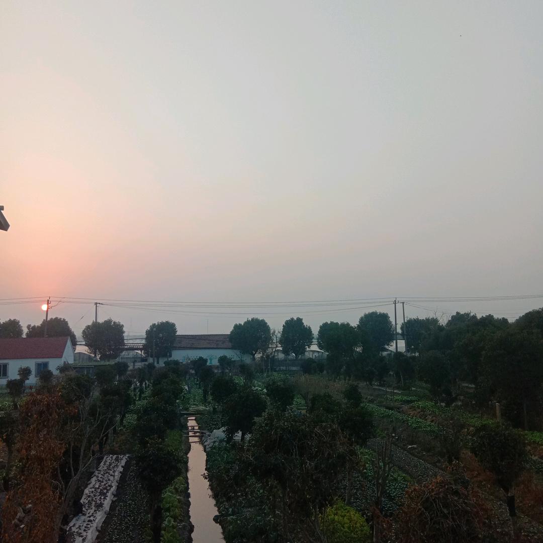 旭日东升好运来
