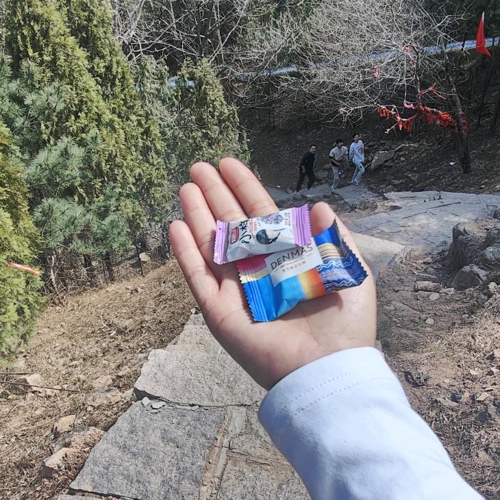 铁树🌲不开🌸
