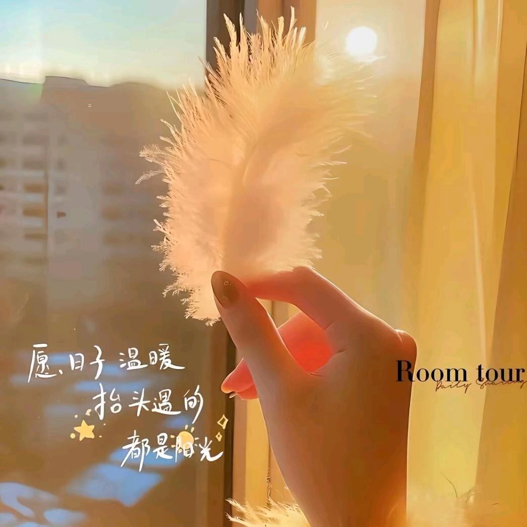 ु❃萍ᴥ萍❃ु