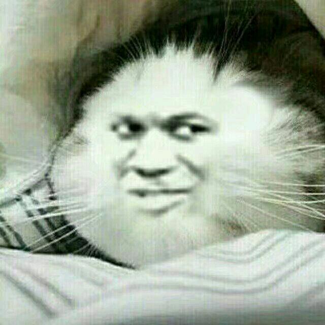 文清电脑