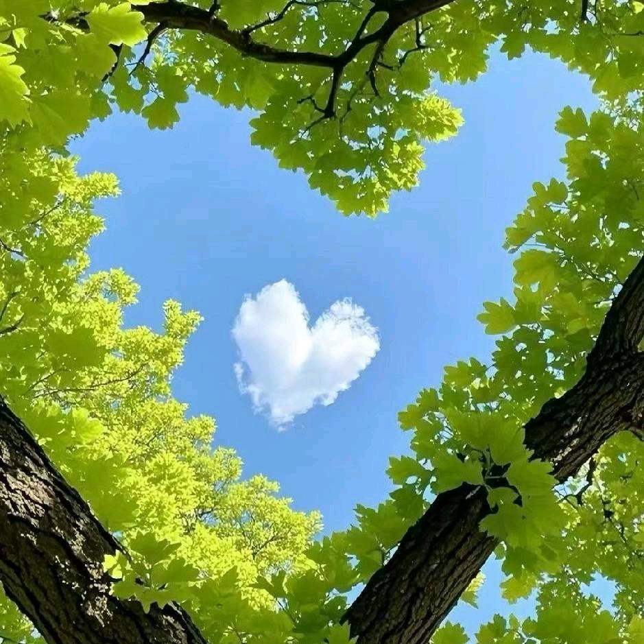 江河