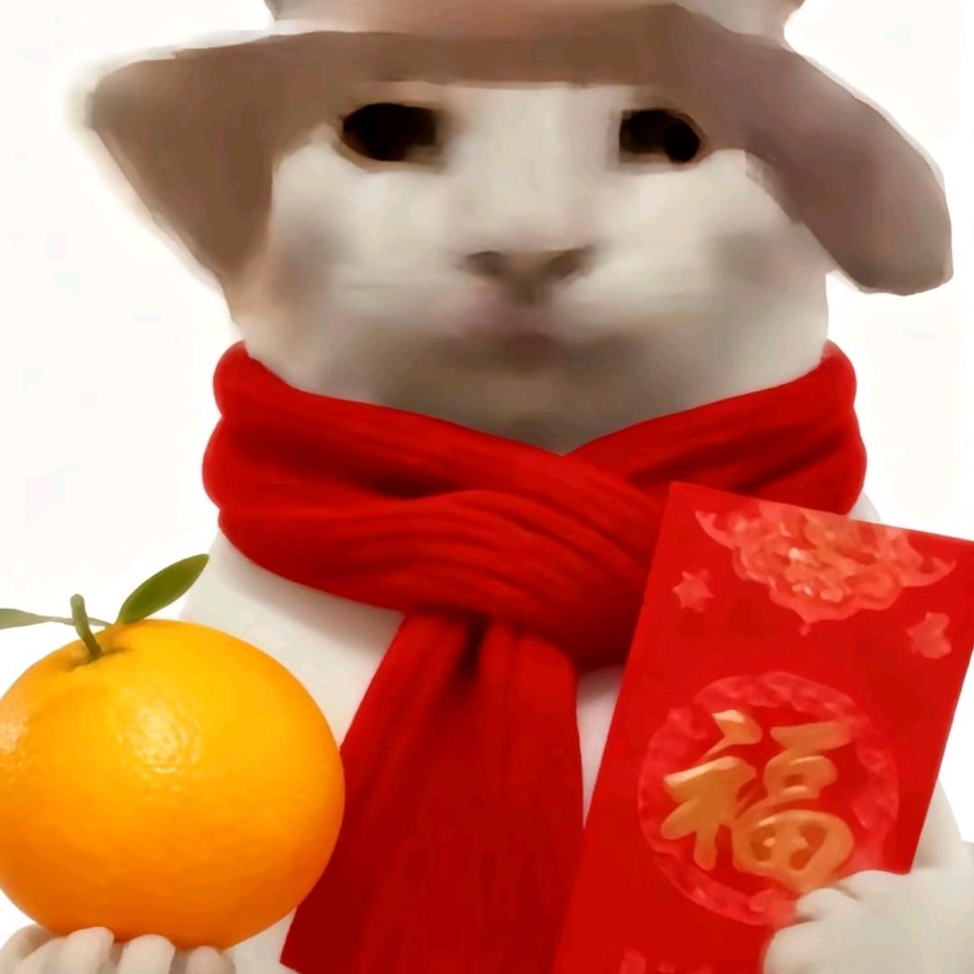 豪宸