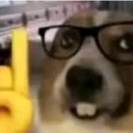 ：：：：：：：