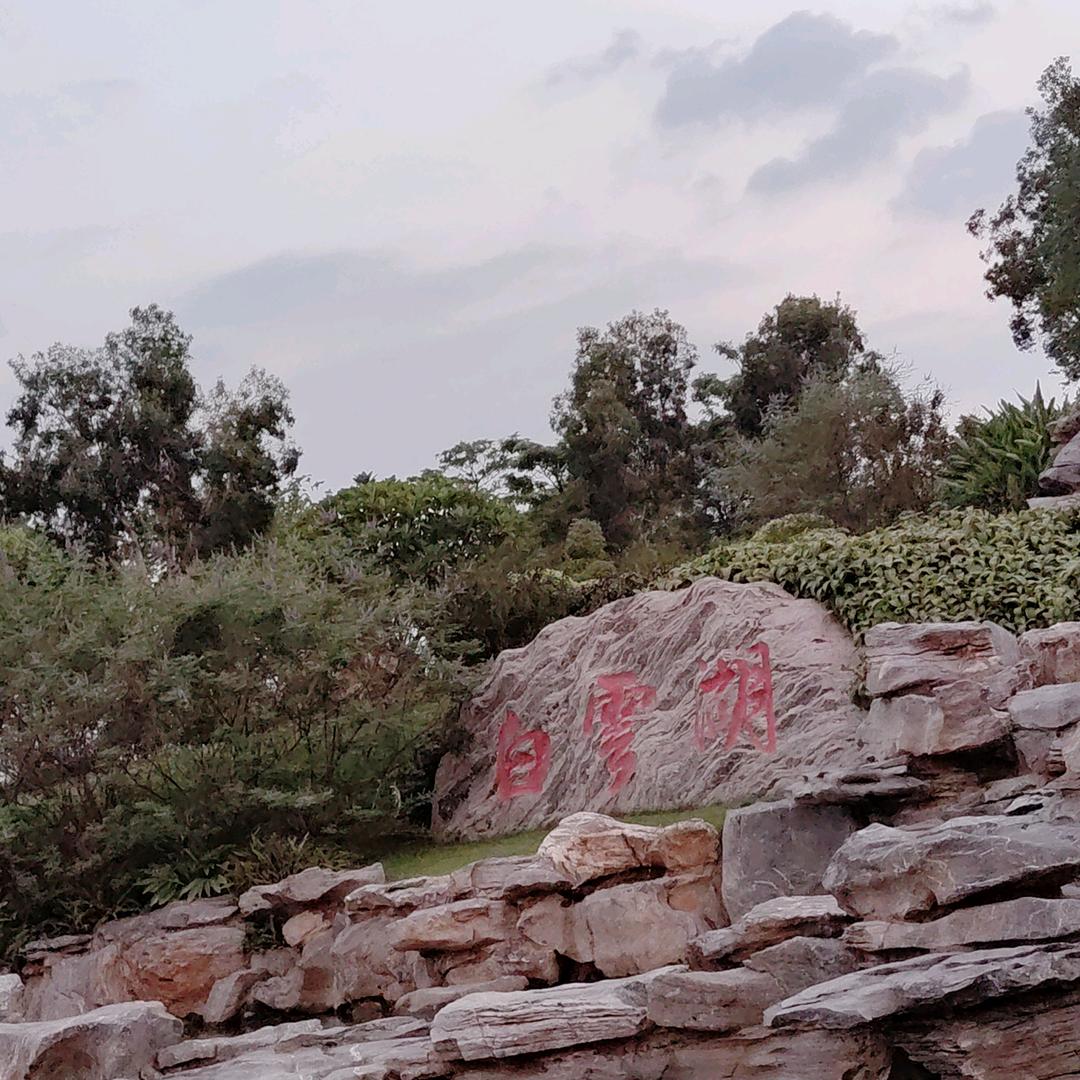 与风说心事
