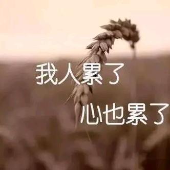 只为遇见你