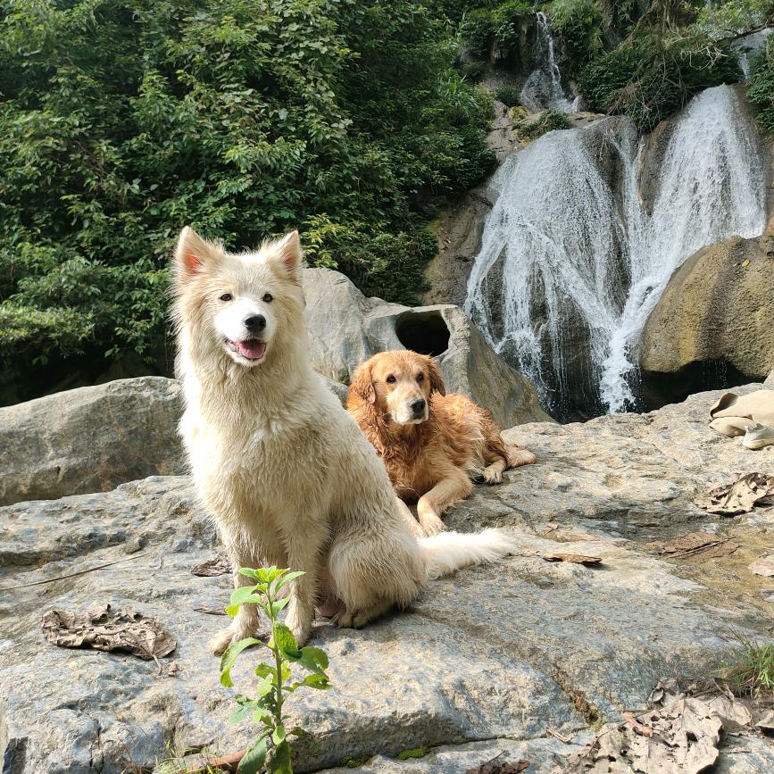 滨海贴砖栾师傅
