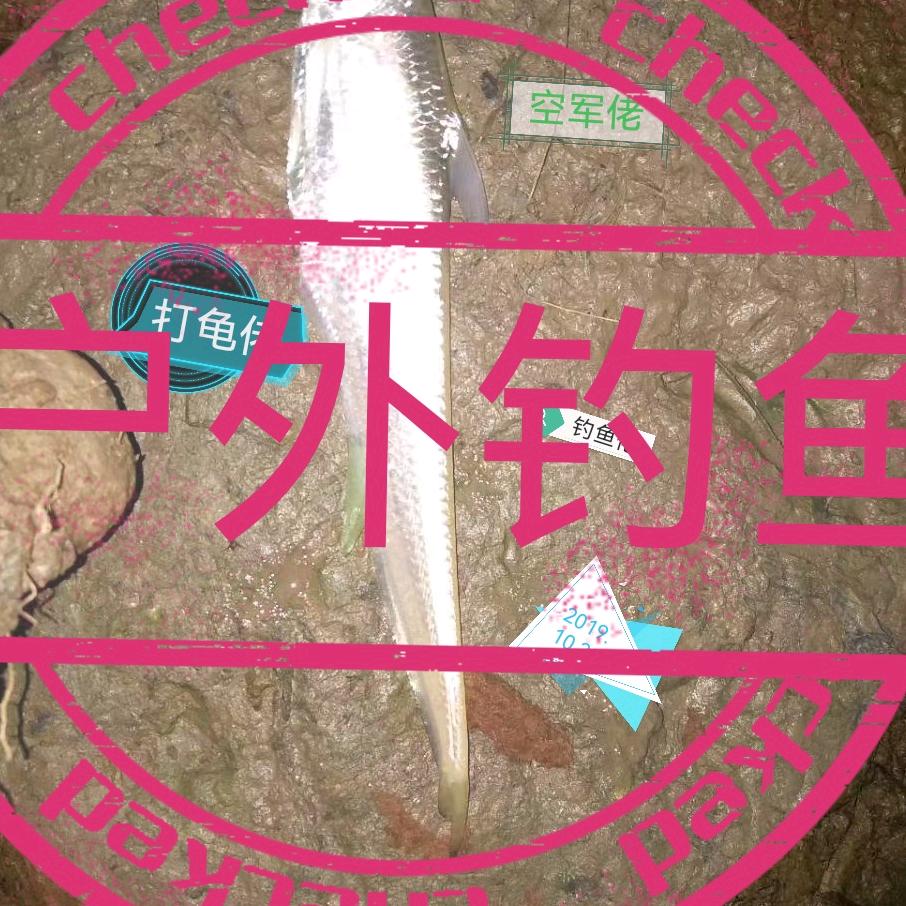 爱摸鱼的军ل🐠ل͜