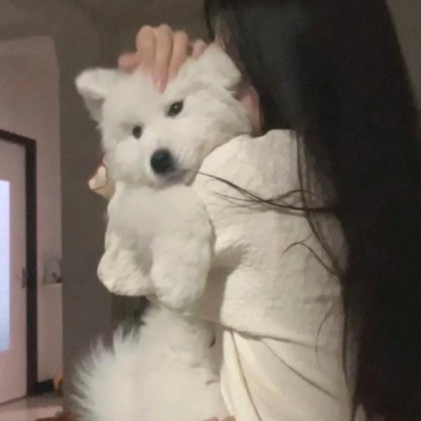 祈 荧