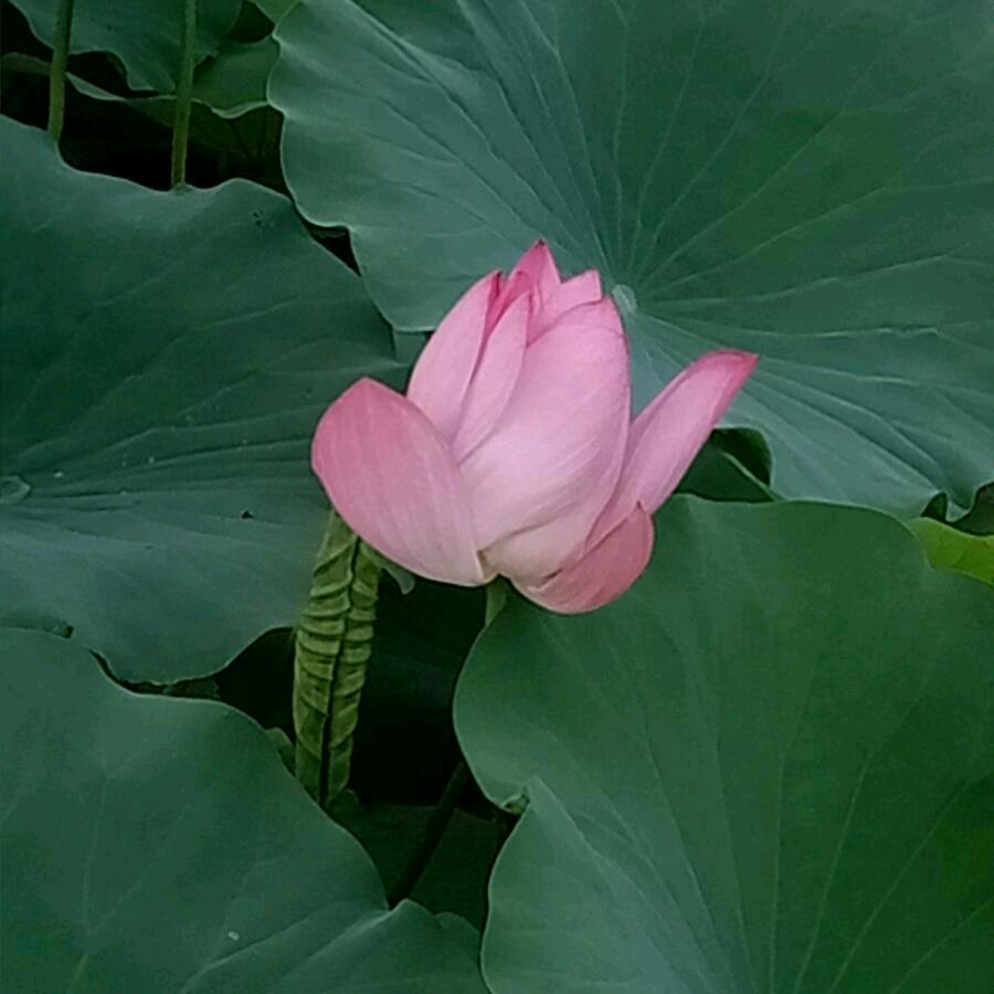 王哥在努力（全屋定制安装）