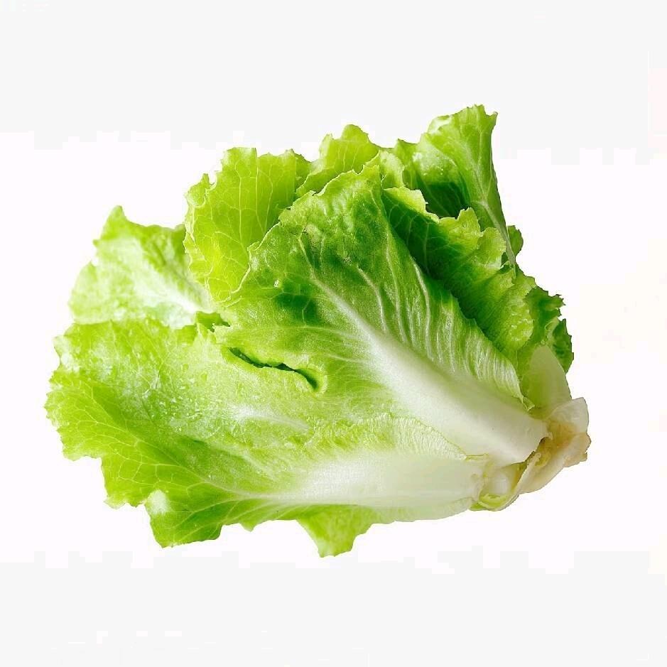 梧桐啊桐