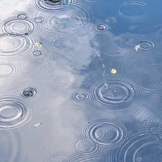 ●'◡'●