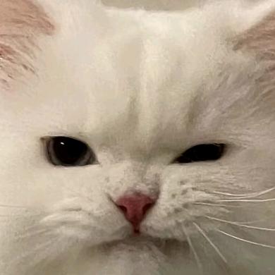 ONEPART丨壹所制片