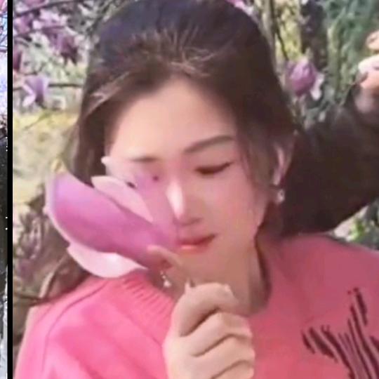 贪吃的小馋猫