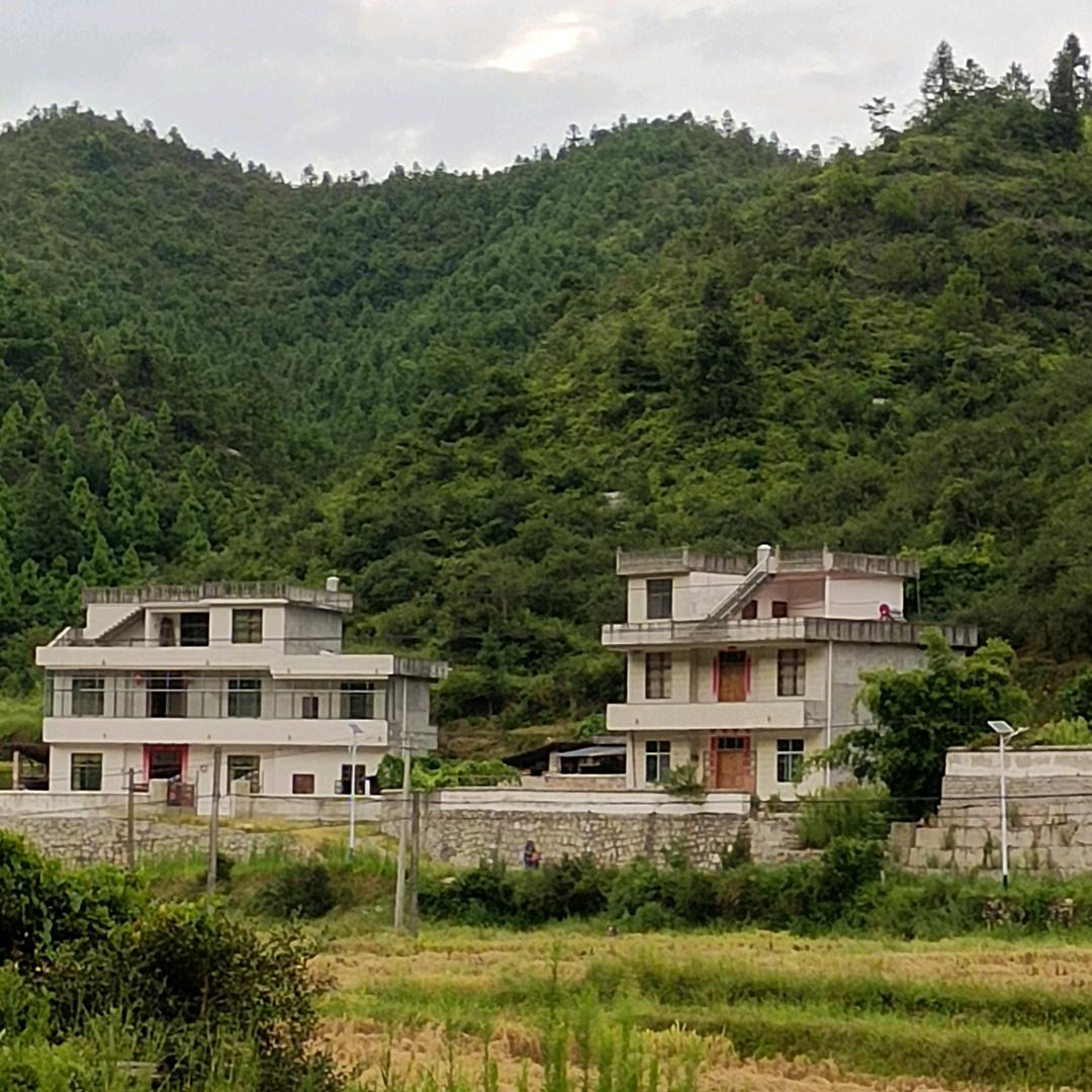 欣欣向荣