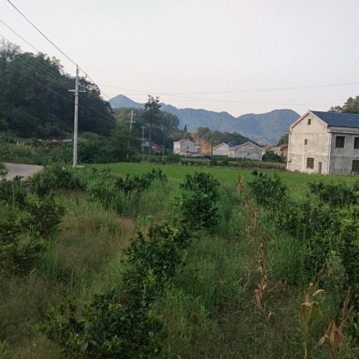 刘基峰