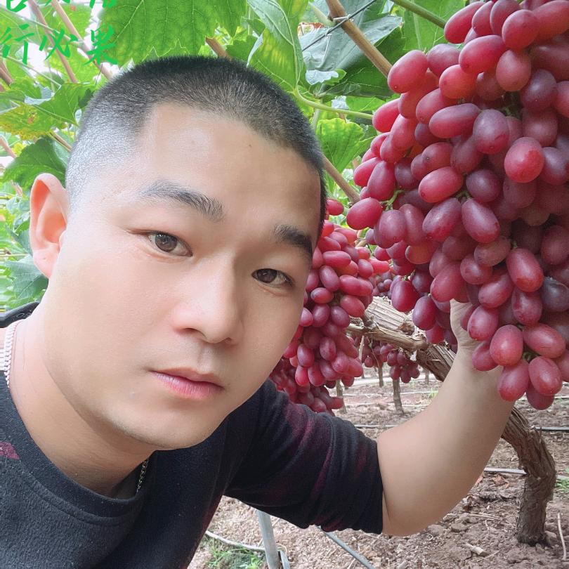 用心悟🍇ゞ孙涌
