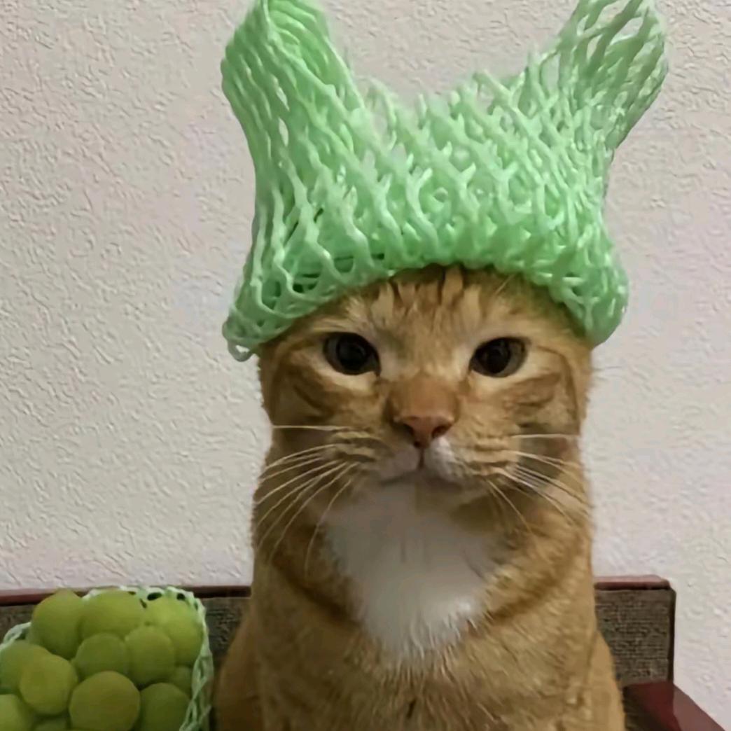 (๑•̌.•̑๑)ˀ̣ˀ̣