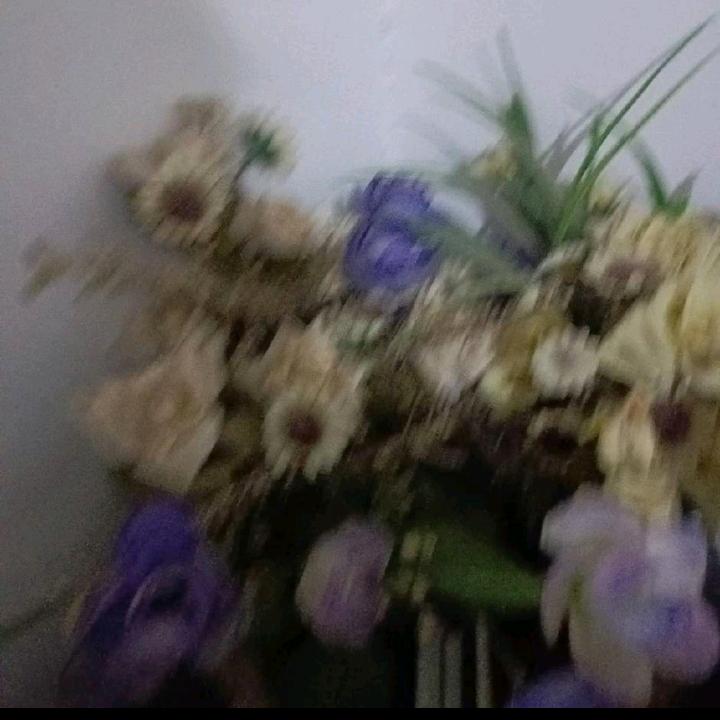 易金莲