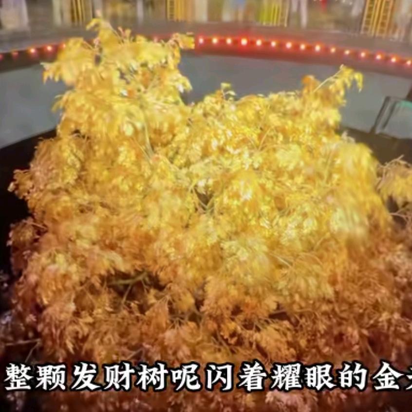 何洁容