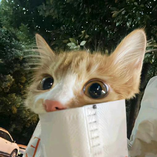 阿碗