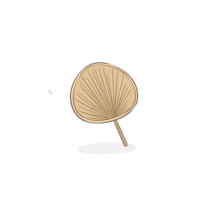 凉凉爽爽的蒲葵扇