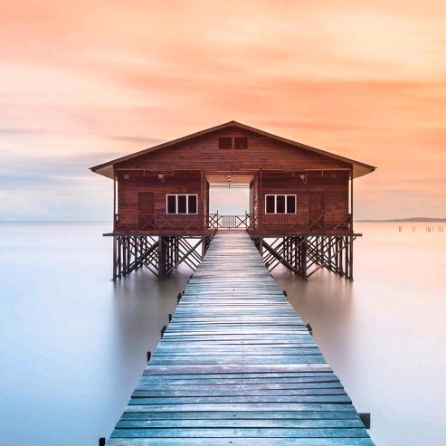 冬隐乐购果树苗木专卖店