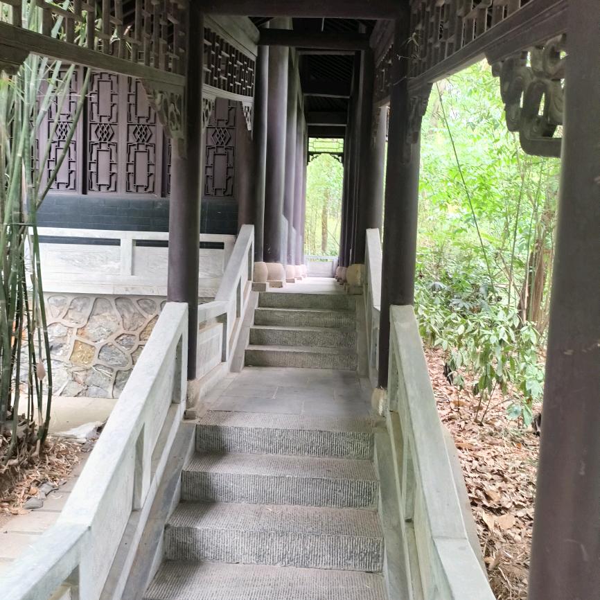 青柠气泡水