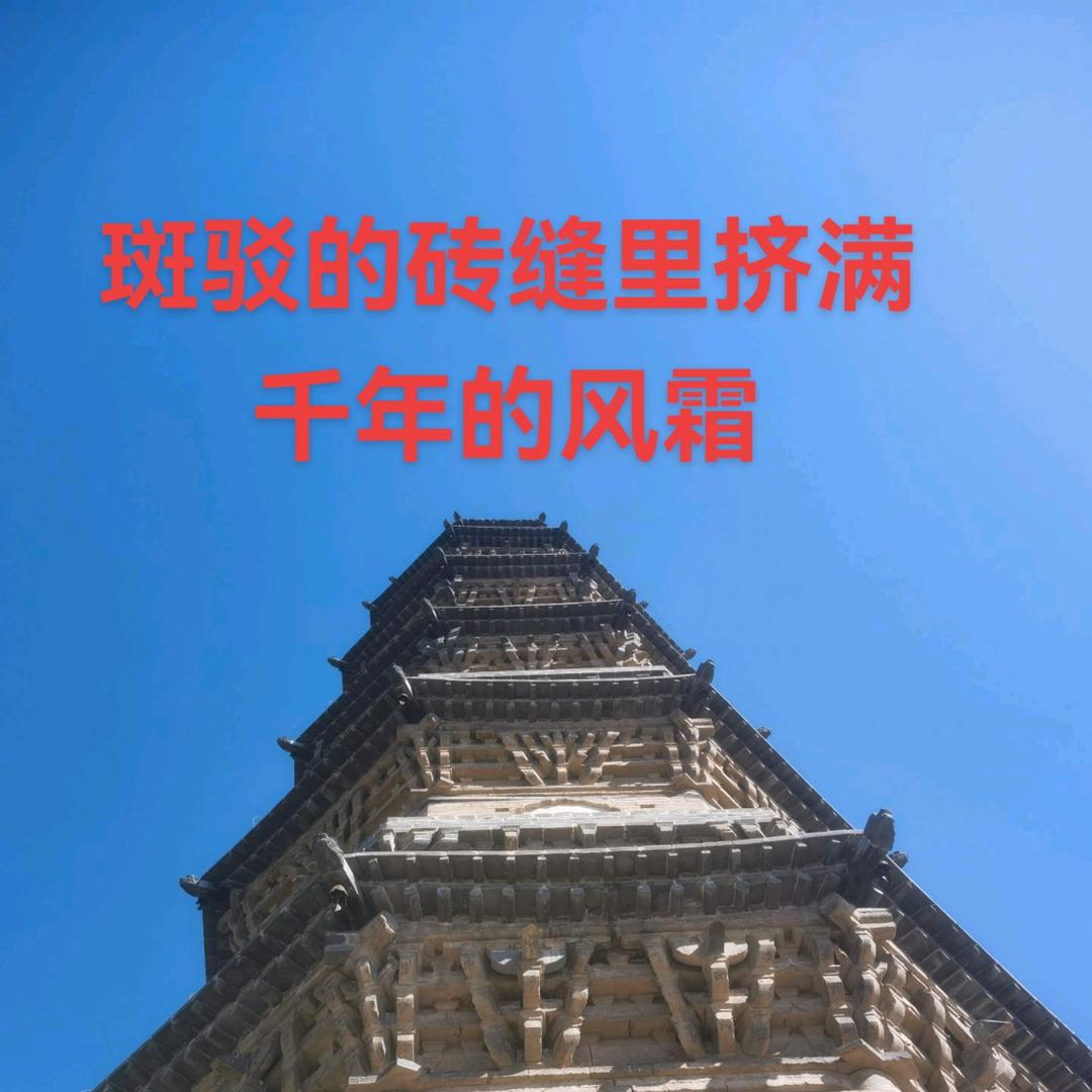 清河国会金属材料