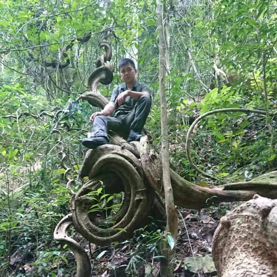 寒山陈大哥石头果