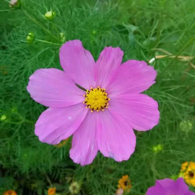 @爱你一生不后悔
