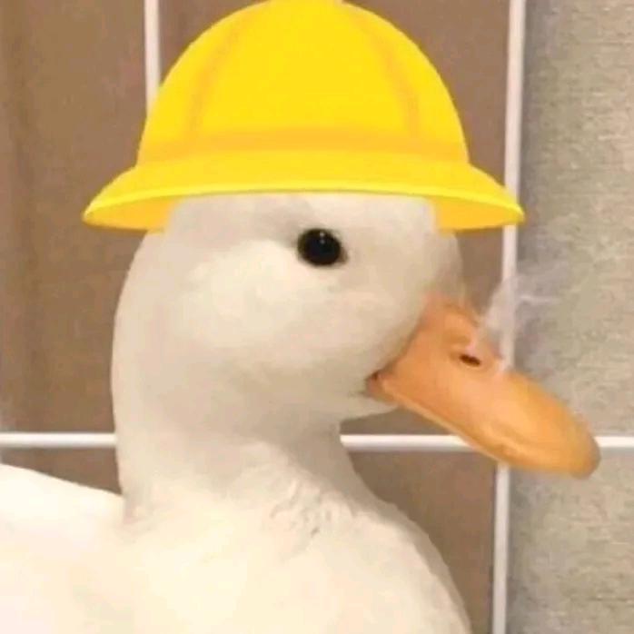 小枫