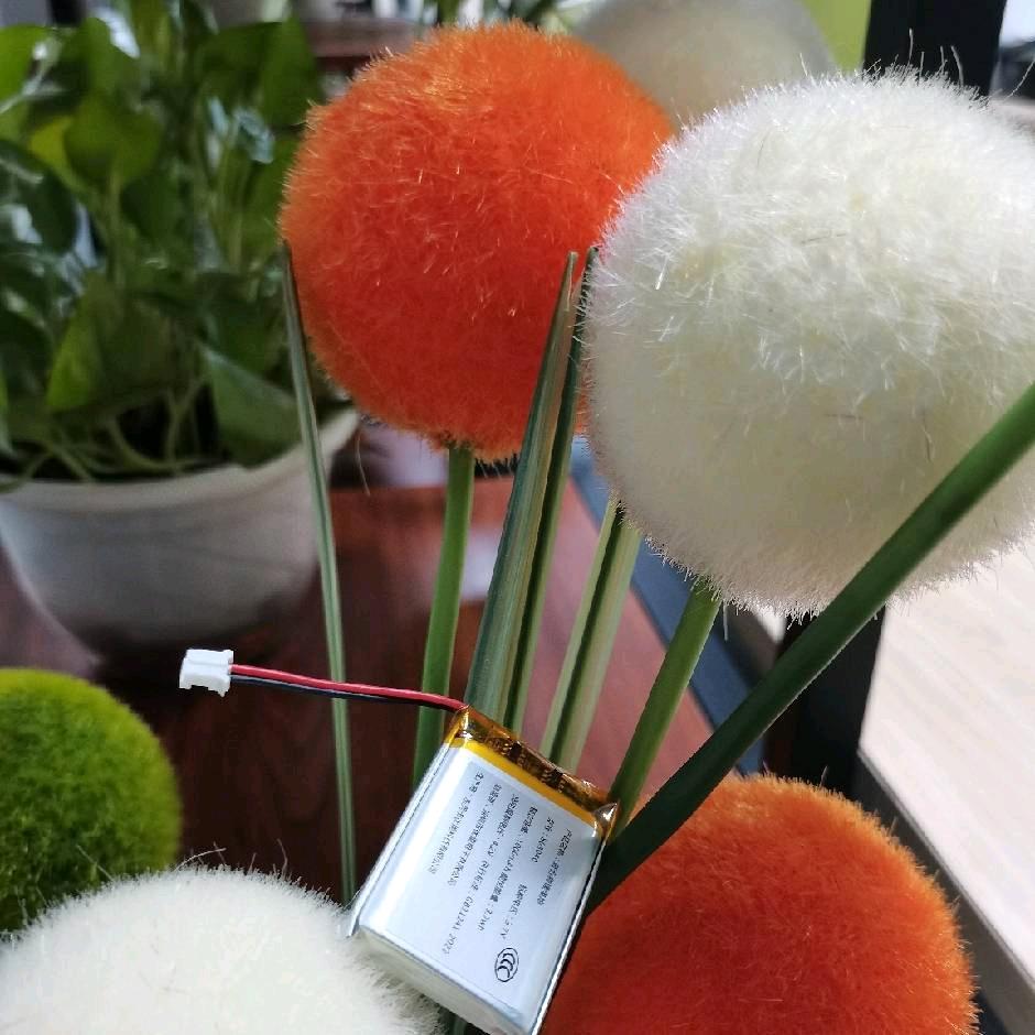 优能锂电池Miss刘