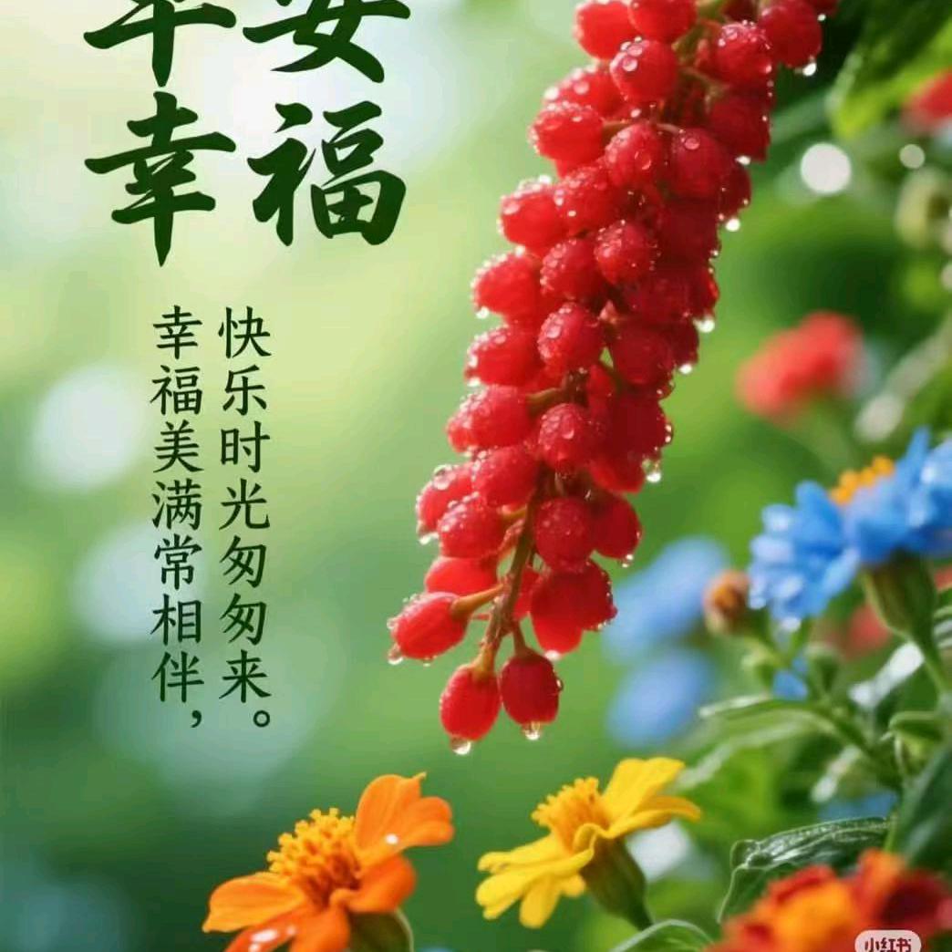 勿说馨语