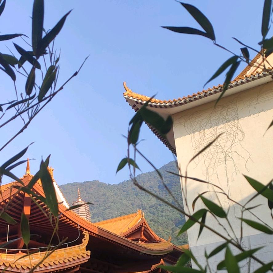大赚顺