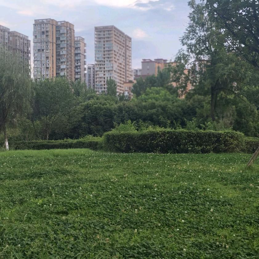 文静