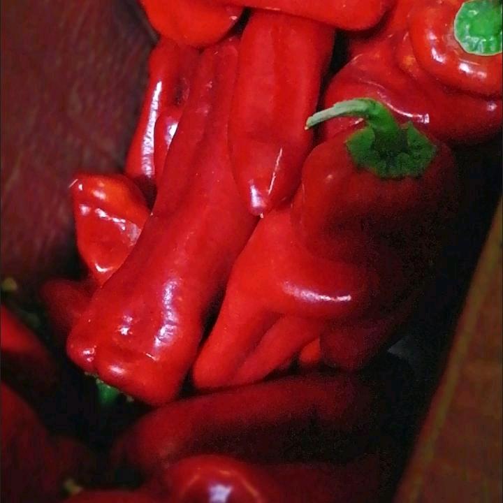 龙霸