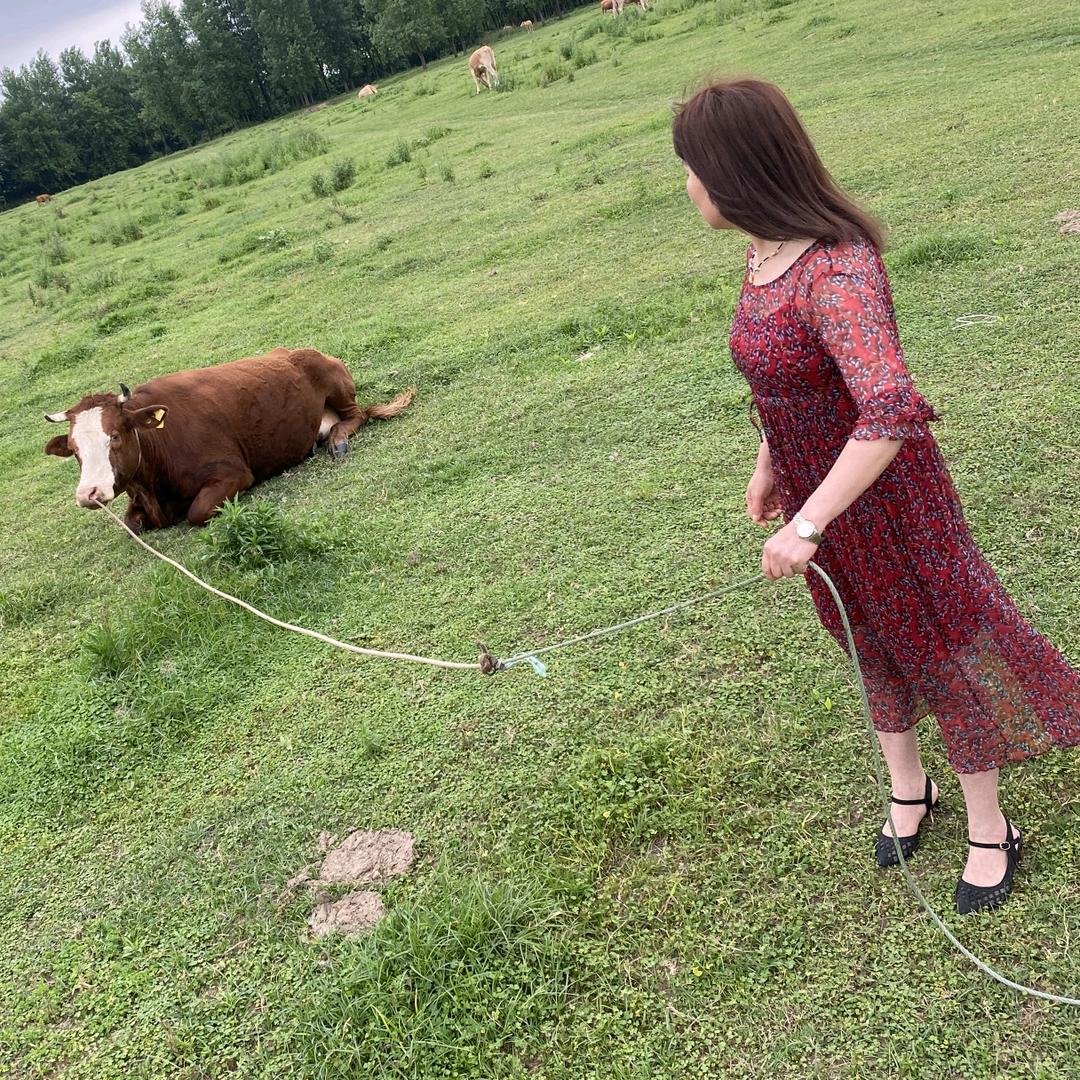 芝麻糖  ！！！