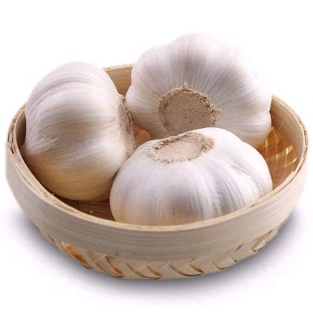 小李助农大蒜