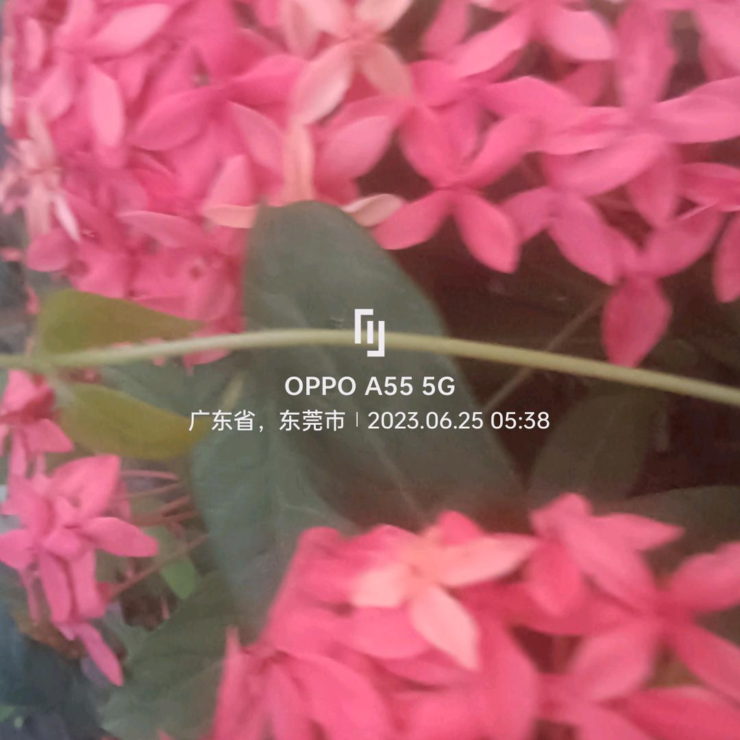风化
